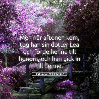 Picture 05 - 1 Mosebok 29:23 SV1917 - Men när aftonen kom, tog han sin dotter Lea och - Bible Verse Picture