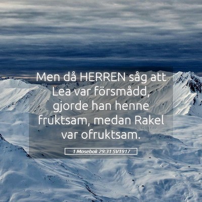 Picture 05 - 1 Mosebok 29:31 SV1917 - Men då HERREN såg att Lea var försmådd, - Bible Verse Picture