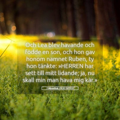 Picture 05 - 1 Mosebok 29:32 SV1917 - Och Lea blev havande och födde en son, och hon - Bible Verse Picture