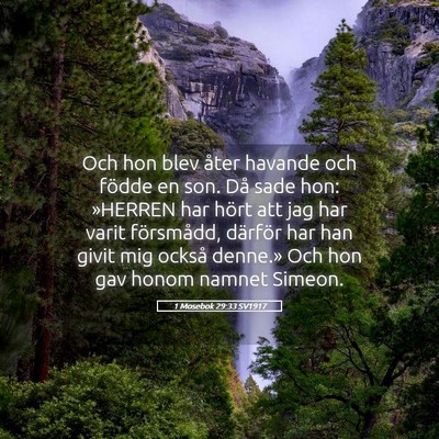 Picture 05 - 1 Mosebok 29:33 SV1917 - Och hon blev åter havande och födde en son. Då - Bible Verse Picture