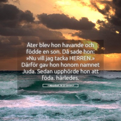 Picture 05 - 1 Mosebok 29:35 SV1917 - Åter blev hon havande och födde en son. Då - Bible Verse Picture