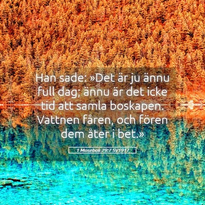 Picture 05 - 1 Mosebok 29:7 SV1917 - Han sade: »Det är ju ännu full dag; ännu är - Bible Verse Picture