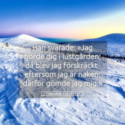 Picture 05 - 1 Mosebok 3:10 SV1917 - Han svarade: »Jag hörde dig i lustgården; då - Bible Verse Picture