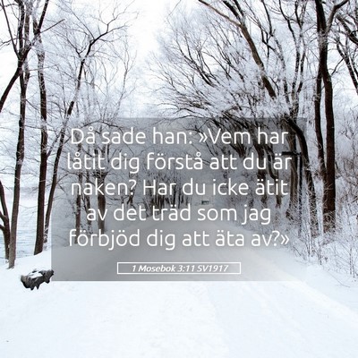 Picture 05 - 1 Mosebok 3:11 SV1917 - Då sade han: »Vem har låtit dig förstå att - Bible Verse Picture