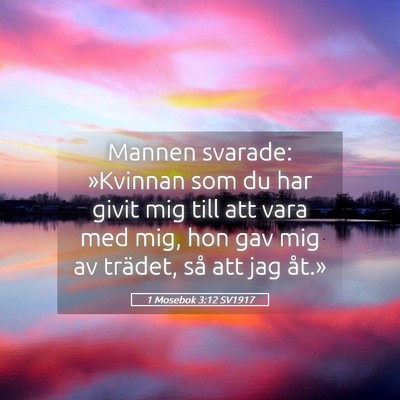 Picture 05 - 1 Mosebok 3:12 SV1917 - Mannen svarade: »Kvinnan som du har givit mig - Bible Verse Picture