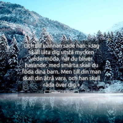Picture 05 - 1 Mosebok 3:16 SV1917 - Och till kvinnan sade han: »Jag skall låta dig - Bible Verse Picture