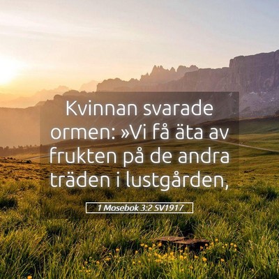Picture 05 - 1 Mosebok 3:2 SV1917 - Kvinnan svarade ormen: »Vi få äta av frukten - Bible Verse Picture