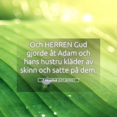 Picture 05 - 1 Mosebok 3:21 SV1917 - Och HERREN Gud gjorde åt Adam och hans hustru - Bible Verse Picture