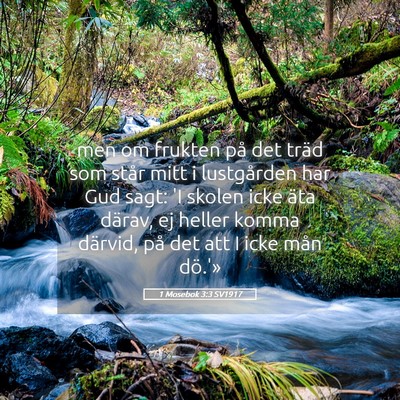 Picture 05 - 1 Mosebok 3:3 SV1917 - men om frukten på det träd som står mitt i - Bible Verse Picture
