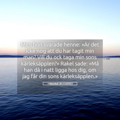 Picture 05 - 1 Mosebok 30:15 SV1917 - Men hon svarade henne: »Är det icke nog att du - Bible Verse Picture