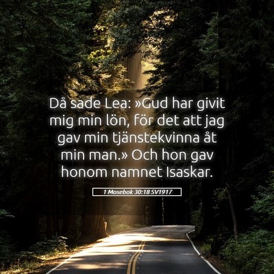 Picture 05 - 1 Mosebok 30:18 SV1917 - Då sade Lea: »Gud har givit mig min lön, för - Bible Verse Picture