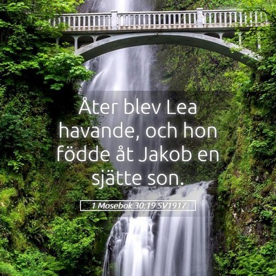 Picture 05 - 1 Mosebok 30:19 SV1917 - Åter blev Lea havande, och hon födde åt Jakob - Bible Verse Picture