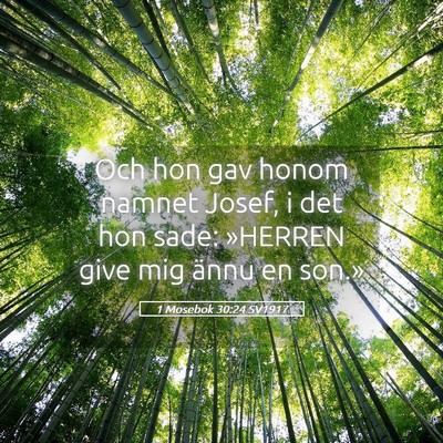 Picture 05 - 1 Mosebok 30:24 SV1917 - Och hon gav honom namnet Josef, i det hon sade: - Bible Verse Picture