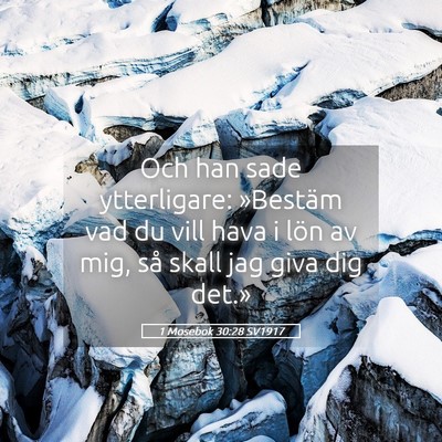 Picture 05 - 1 Mosebok 30:28 SV1917 - Och han sade ytterligare: »Bestäm vad du vill - Bible Verse Picture