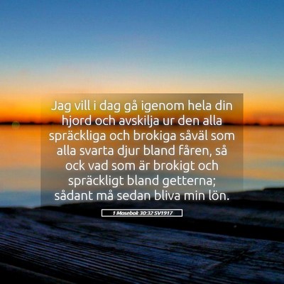 Picture 05 - 1 Mosebok 30:32 SV1917 - Jag vill i dag gå igenom hela din hjord och - Bible Verse Picture