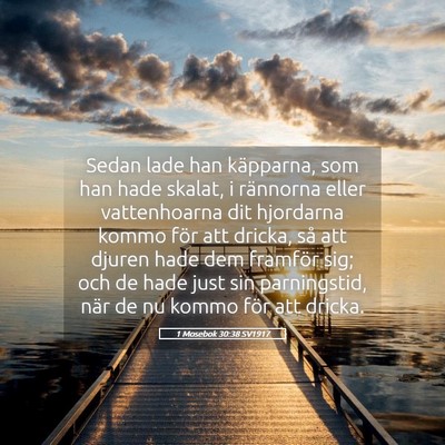 Picture 05 - 1 Mosebok 30:38 SV1917 - Sedan lade han käpparna, som han hade skalat, i - Bible Verse Picture