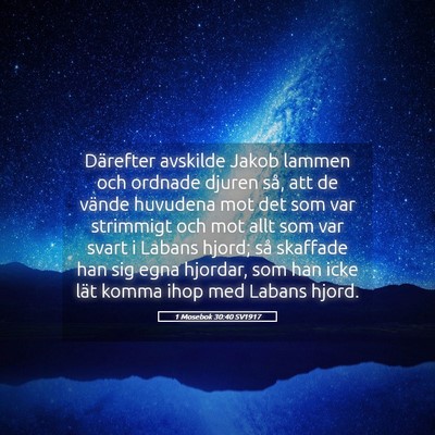 Picture 05 - 1 Mosebok 30:40 SV1917 - Därefter avskilde Jakob lammen och ordnade - Bible Verse Picture
