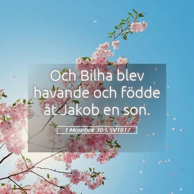 Picture 05 - 1 Mosebok 30:5 SV1917 - Och Bilha blev havande och födde åt Jakob en - Bible Verse Picture