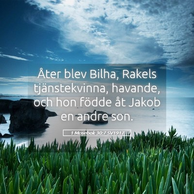 Picture 05 - 1 Mosebok 30:7 SV1917 - Åter blev Bilha, Rakels tjänstekvinna, havande, - Bible Verse Picture