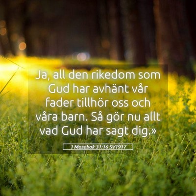 Picture 05 - 1 Mosebok 31:16 SV1917 - Ja, all den rikedom som Gud har avhänt vår - Bible Verse Picture