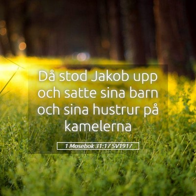 Picture 05 - 1 Mosebok 31:17 SV1917 - Då stod Jakob upp och satte sina barn och sina - Bible Verse Picture