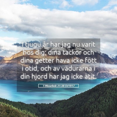 Picture 05 - 1 Mosebok 31:38 SV1917 - I tjugu år har jag nu varit hos dig; dina tackor - Bible Verse Picture