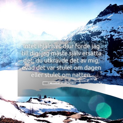 Picture 05 - 1 Mosebok 31:39 SV1917 - Intet ihjälrivet djur förde jag till dig; jag - Bible Verse Picture