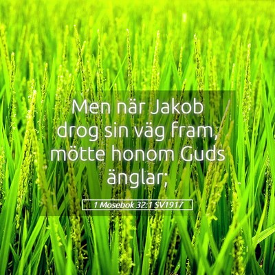 Picture 05 - 1 Mosebok 32:1 SV1917 - Men när Jakob drog sin väg fram, mötte honom - Bible Verse Picture