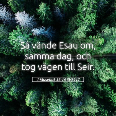 Picture 05 - 1 Mosebok 33:16 SV1917 - Så vände Esau om, samma dag, och tog vägen - Bible Verse Picture