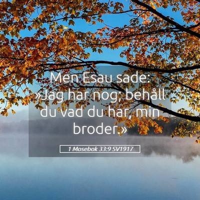 Picture 05 - 1 Mosebok 33:9 SV1917 - Men Esau sade: »Jag har nog; behåll du vad du - Bible Verse Picture