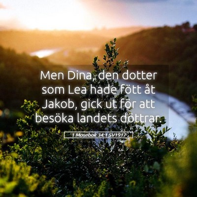 Picture 05 - 1 Mosebok 34:1 SV1917 - Men Dina, den dotter som Lea hade fött åt - Bible Verse Picture