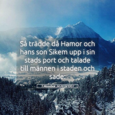 Picture 05 - 1 Mosebok 34:20 SV1917 - Så trädde då Hamor och hans son Sikem upp i - Bible Verse Picture