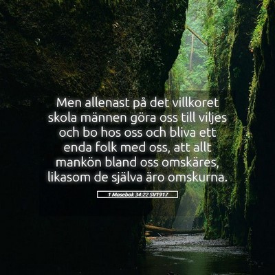 Picture 05 - 1 Mosebok 34:22 SV1917 - Men allenast på det villkoret skola männen - Bible Verse Picture
