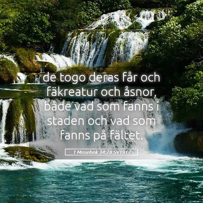 Picture 05 - 1 Mosebok 34:28 SV1917 - de togo deras får och fäkreatur och åsnor, - Bible Verse Picture