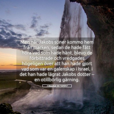 Picture 05 - 1 Mosebok 34:7 SV1917 - Men när Jakobs söner kommo hem från marken, - Bible Verse Picture
