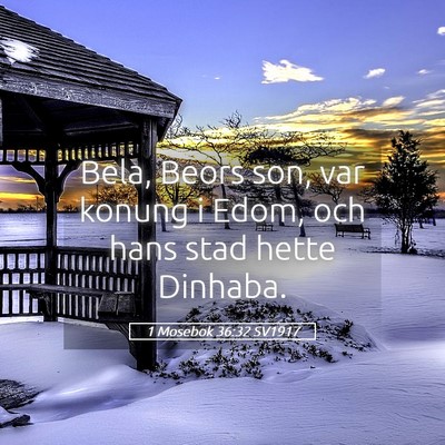 Picture 05 - 1 Mosebok 36:32 SV1917 - Bela, Beors son, var konung i Edom, och hans stad - Bible Verse Picture