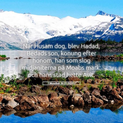 Picture 05 - 1 Mosebok 36:35 SV1917 - När Husam dog, blev Hadad, Bedads son, konung - Bible Verse Picture