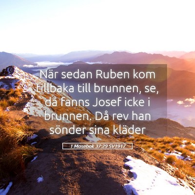 Picture 05 - 1 Mosebok 37:29 SV1917 - När sedan Ruben kom tillbaka till brunnen, se, - Bible Verse Picture