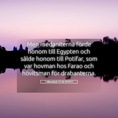 Picture 05 - 1 Mosebok 37:36 SV1917 - Men medaniterna förde honom till Egypten och - Bible Verse Picture