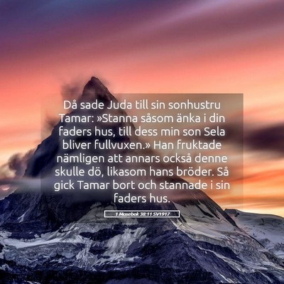 Picture 05 - 1 Mosebok 38:11 SV1917 - Då sade Juda till sin sonhustru Tamar: »Stanna - Bible Verse Picture