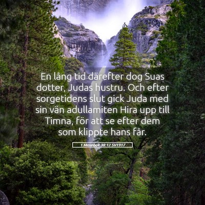 Picture 05 - 1 Mosebok 38:12 SV1917 - En lång tid därefter dog Suas dotter, Judas - Bible Verse Picture