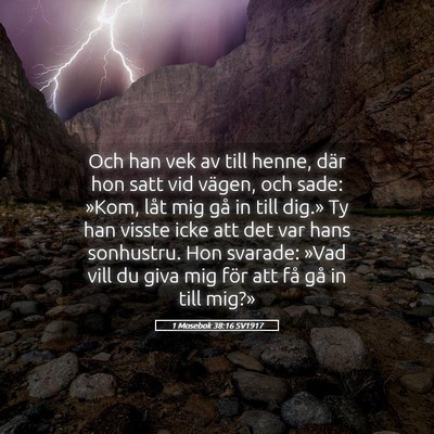 Picture 05 - 1 Mosebok 38:16 SV1917 - Och han vek av till henne, där hon satt vid - Bible Verse Picture