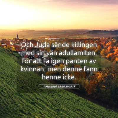 Picture 05 - 1 Mosebok 38:20 SV1917 - Och Juda sände killingen med sin vän - Bible Verse Picture
