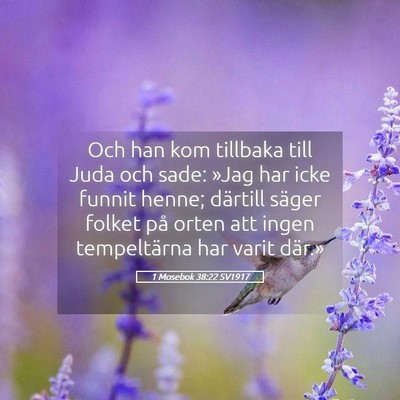 Picture 05 - 1 Mosebok 38:22 SV1917 - Och han kom tillbaka till Juda och sade: »Jag - Bible Verse Picture