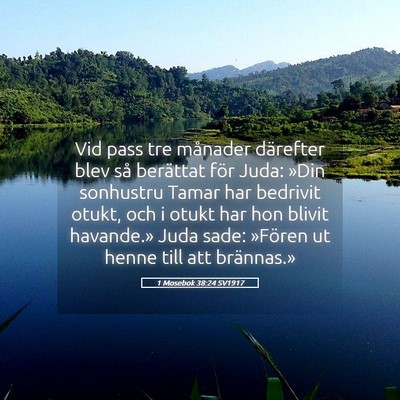 Picture 05 - 1 Mosebok 38:24 SV1917 - Vid pass tre månader därefter blev så - Bible Verse Picture