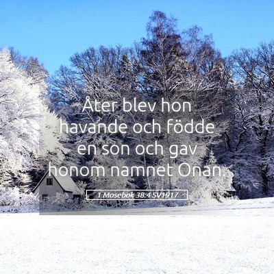 Picture 05 - 1 Mosebok 38:4 SV1917 - Åter blev hon havande och födde en son och gav - Bible Verse Picture