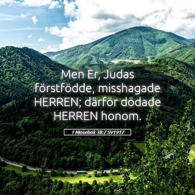 Picture 05 - 1 Mosebok 38:7 SV1917 - Men Er, Judas förstfödde, misshagade HERREN; - Bible Verse Picture
