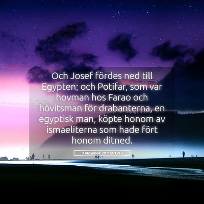 Picture 05 - 1 Mosebok 39:1 SV1917 - Och Josef fördes ned till Egypten; och Potifar, - Bible Verse Picture