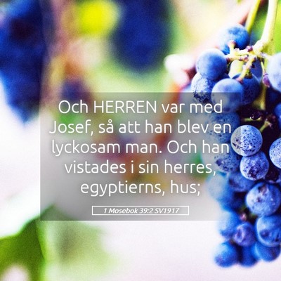 Picture 05 - 1 Mosebok 39:2 SV1917 - Och HERREN var med Josef, så att han blev en - Bible Verse Picture
