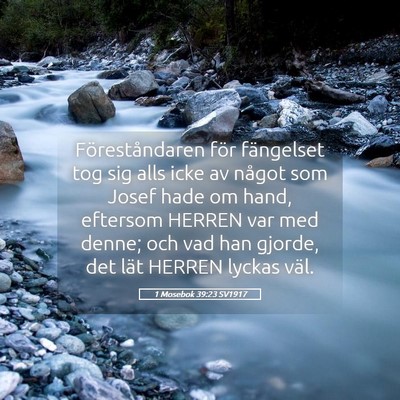 Picture 05 - 1 Mosebok 39:23 SV1917 - Föreståndaren för fängelset tog sig alls icke - Bible Verse Picture